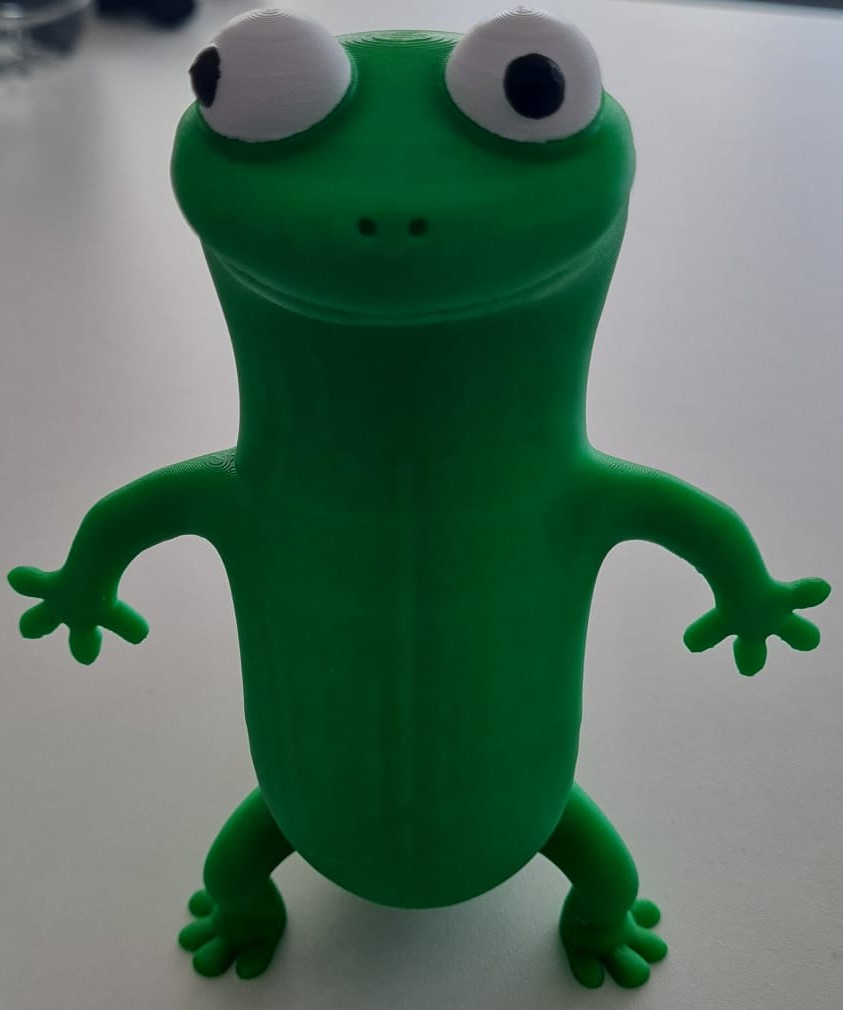 Tom Lizard